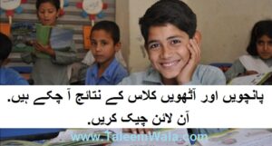 5th and 8th Class Result 2025 - Punjab Examination Commission | PEC.edu.pk